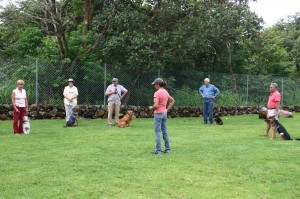 dog-obedience-class